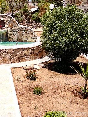 Alkistis Hotel 9